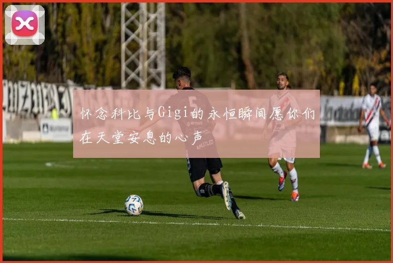 怀念科比与Gigi的永恒瞬间愿你们在天堂安息的心声